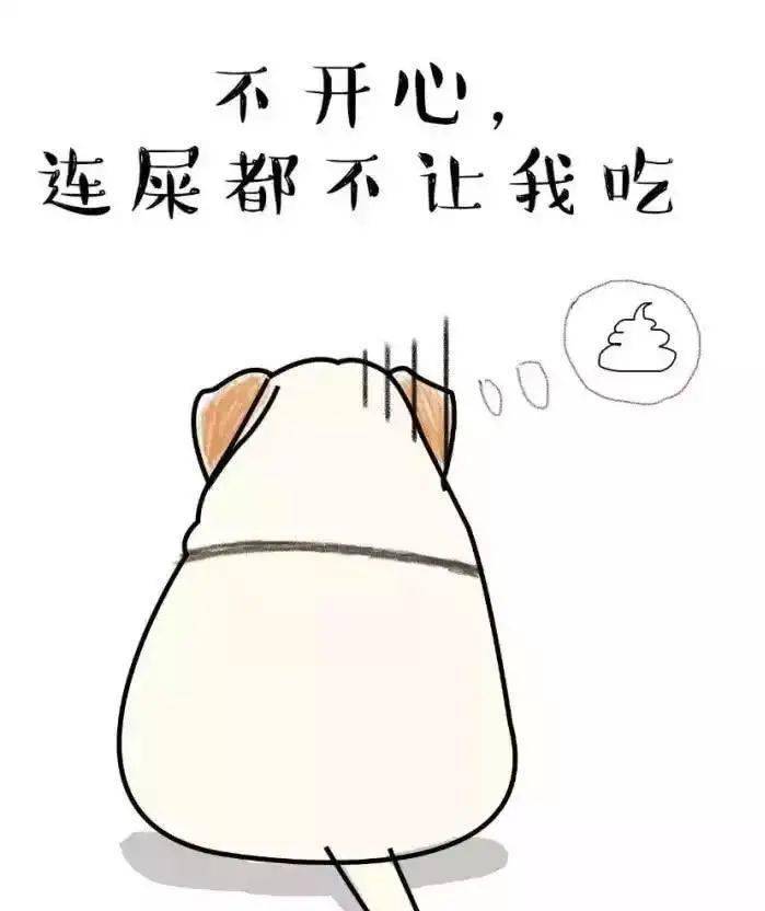 没错你没听错,你家狗子吃自己的屎刨除身体原因更多情况下是主人的过