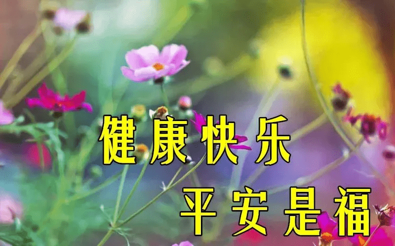 生活是季节不论春夏秋冬 只要适合的心情 就是最好的 早安 才会