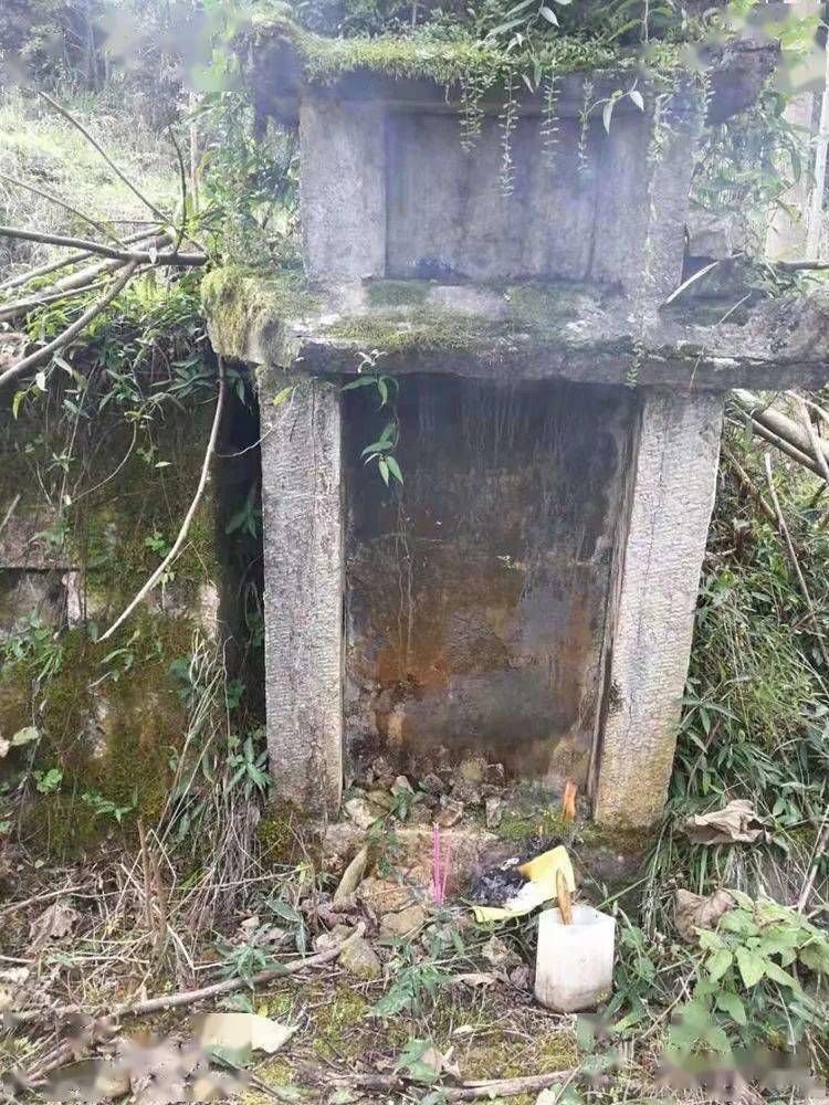 祖墓落成拜祖庆典巫山命训公支入川祖墓落成暨拜祖庆典