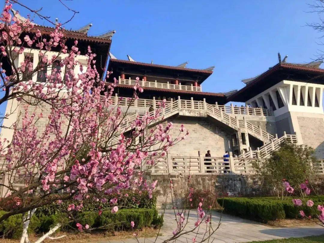 春到三十岗人约桃花林