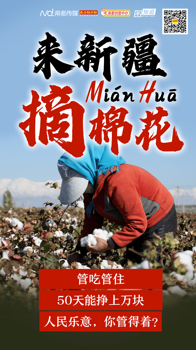 新疆棉花是 háo mén !