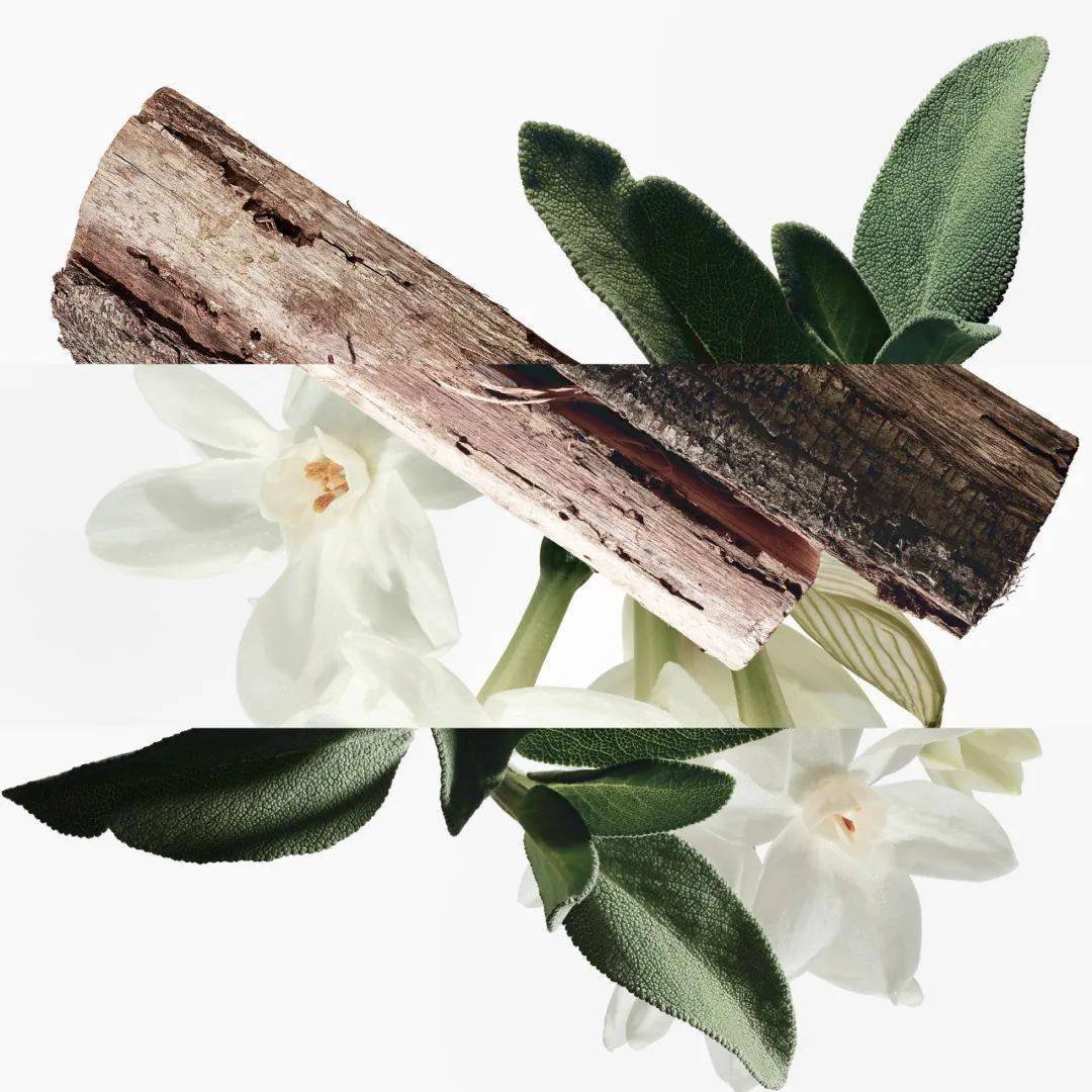 �����˺�̨��ɶ��?һ������ȫ����!