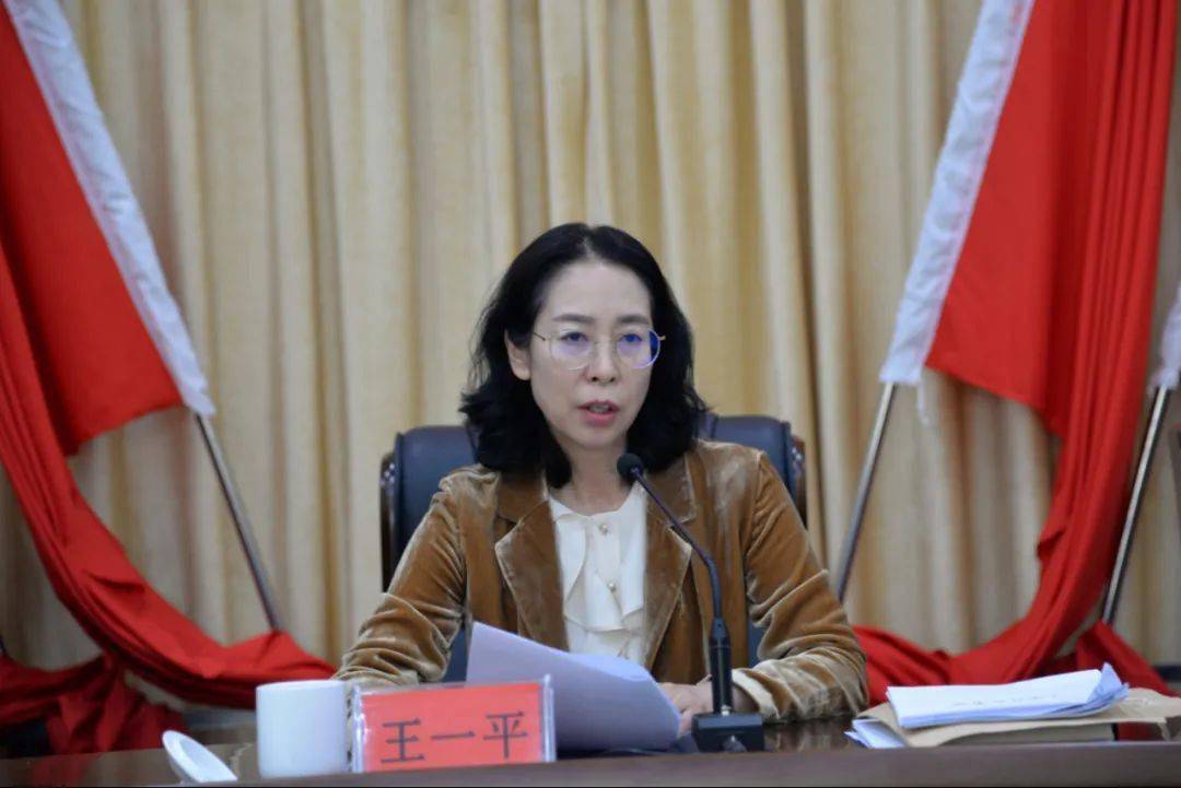 会议,县人大常委会主任王一平,副主任张庆辉分别主持会议,副主任张凯