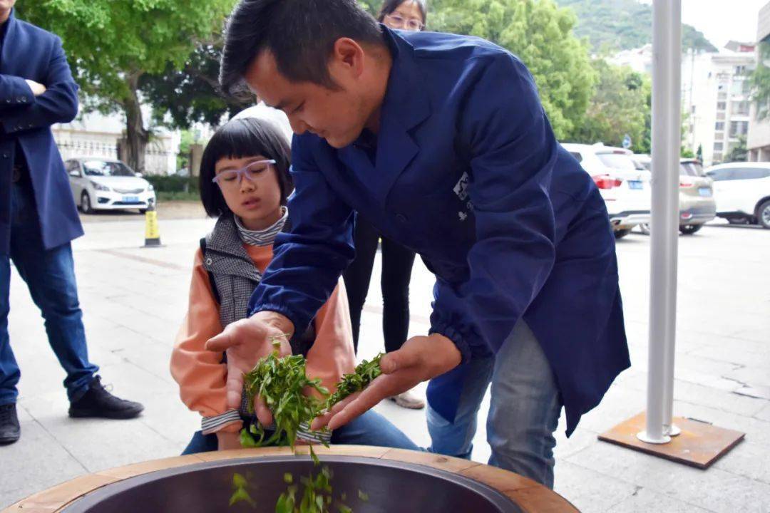 手工炒茶体验活动持续进行,抓紧时间带上孩子来参加吧!_兴义