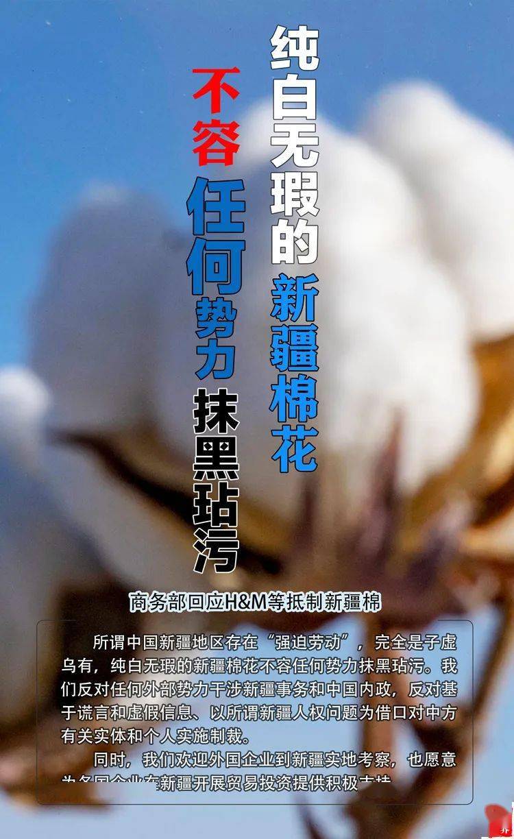 新华全媒商务部回应hm等抵制新疆棉纯白无瑕的新疆棉花不容抹黑