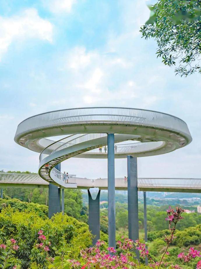 黑科技满满深圳这座悬浮玻璃桥火了天黑就发光