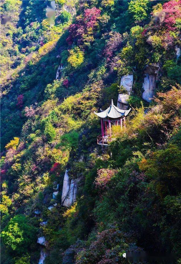 灵宝亚武山风景区图片