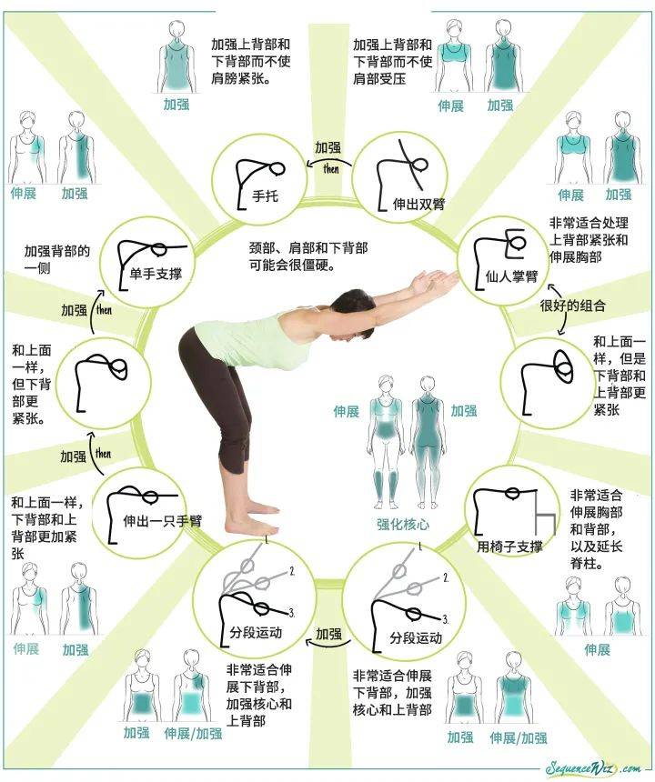 留园网 杨紫肩颈线 火速上热搜怎么练的 6park Com