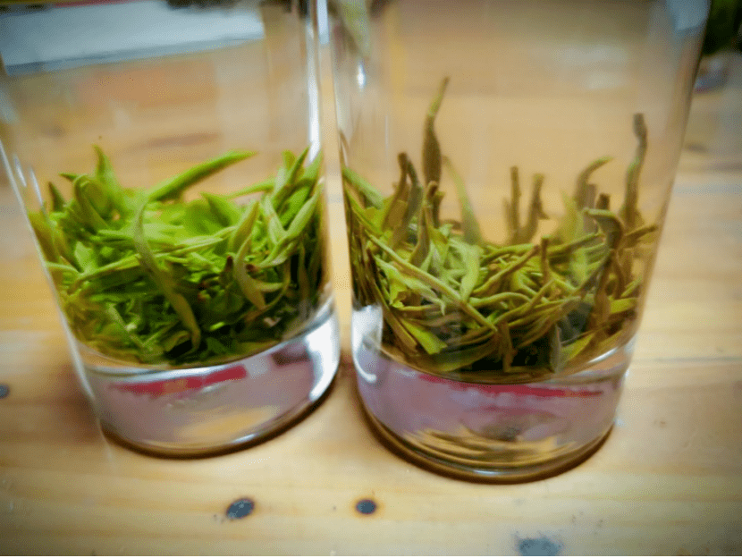 左为明前绿茶,右为传统黄茶~按照曹老师"来都来了"的宗旨,这沩山