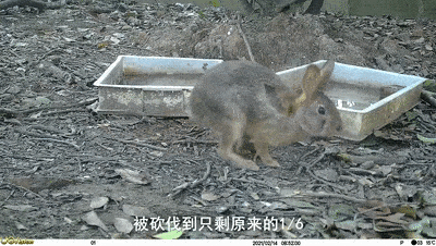 27be0288910845fd9ee277021dab1a63.gif