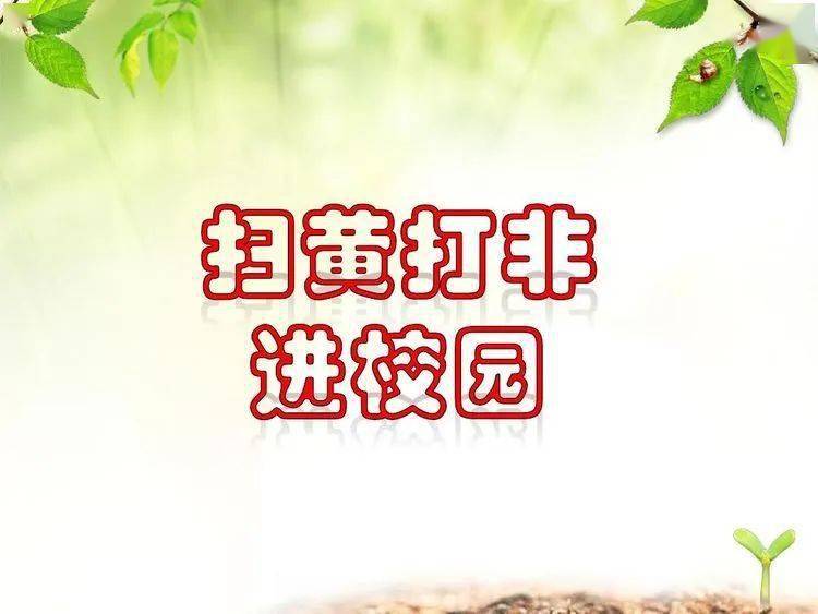 杨英庄小学开展"扫黄打非"进校园活动