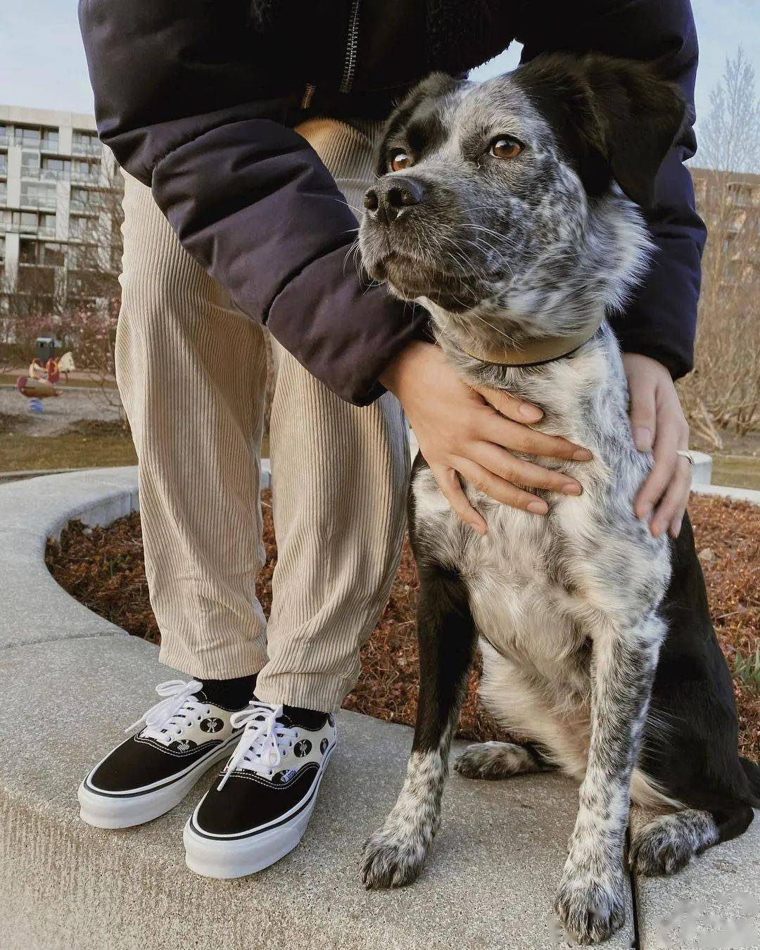 vans新老联名齐出镜你是否能全部认出上脚照wdywt
