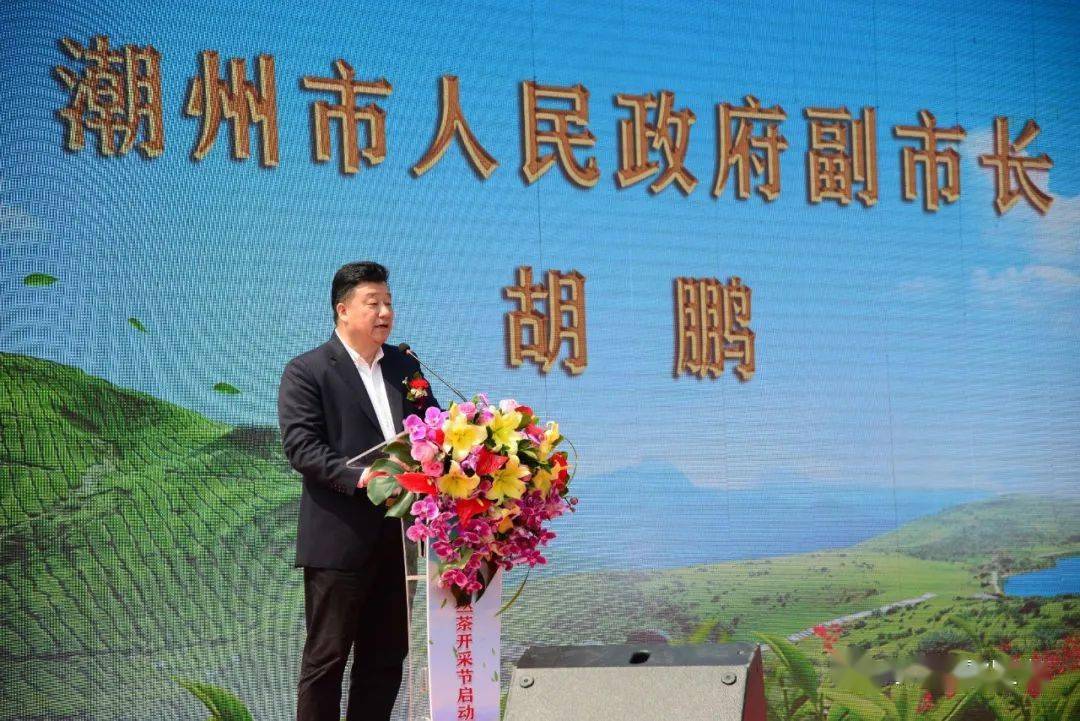 △潮州市副市长胡鹏讲话 △潮安区区长张广贤致辞系列活动△启动“凤凰单