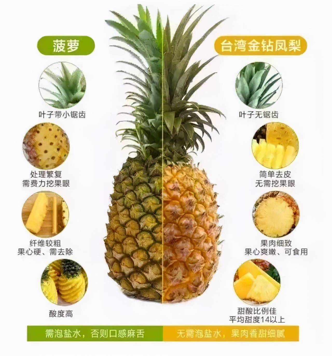 菠萝的功效与作用图片