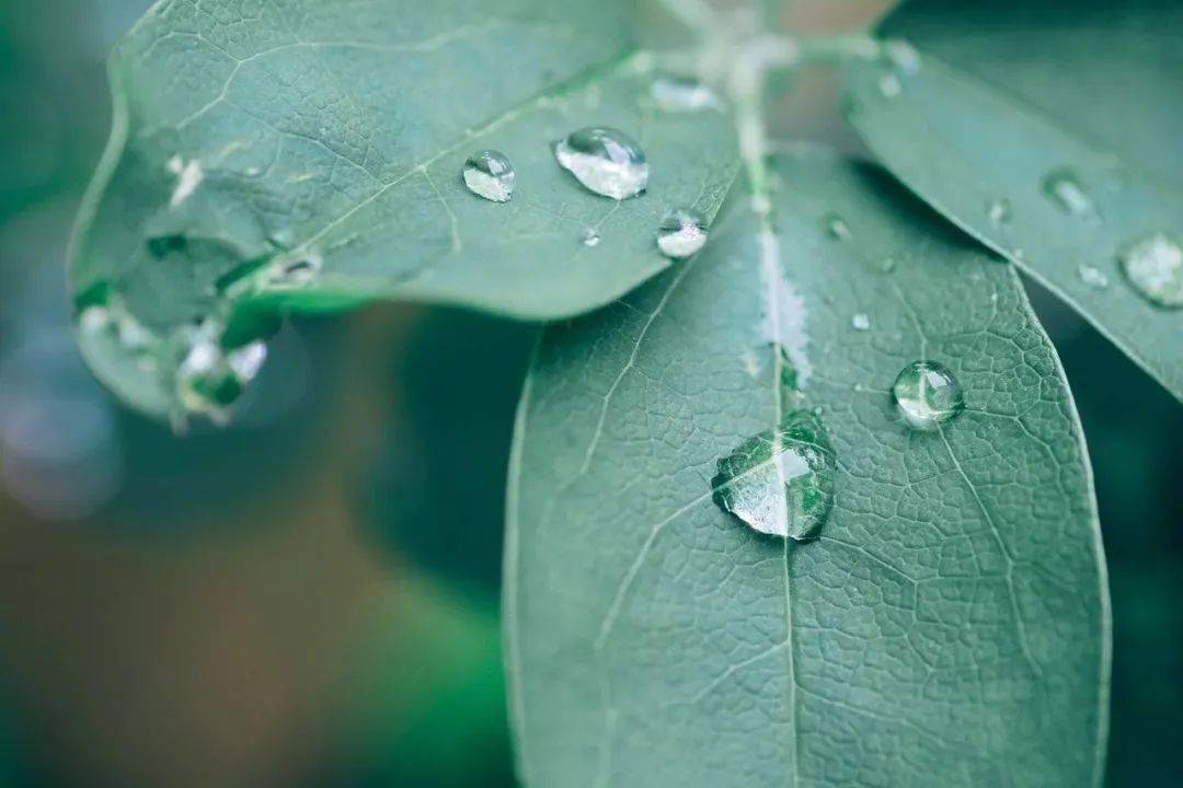 三月有雨飘窗唯美如诗