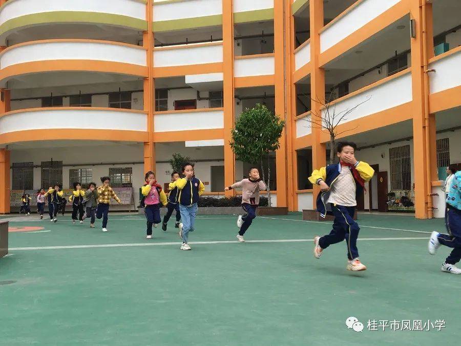 桂平市凤凰小学图片