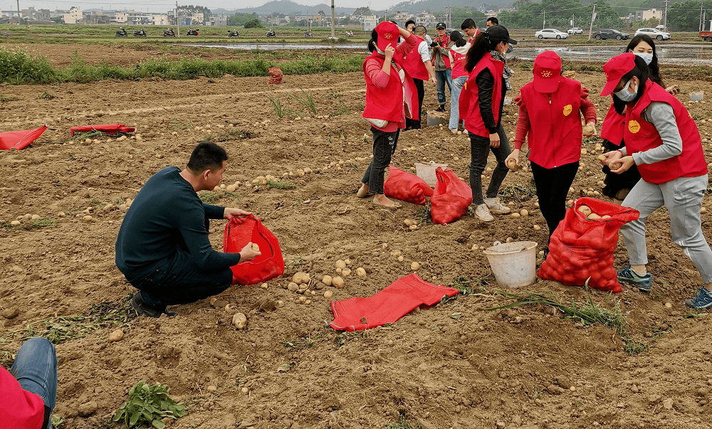 合浦团县委,闸口镇团委组织青年志愿者开展"学党史 悟思想 为民办实事