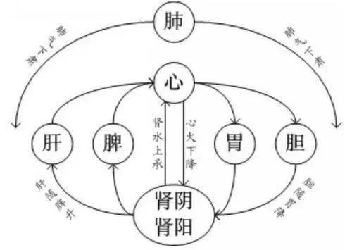 治疗这类上热下寒患者，可以以脾胃为中轴，疏肝健脾，祛湿活血，养阴清