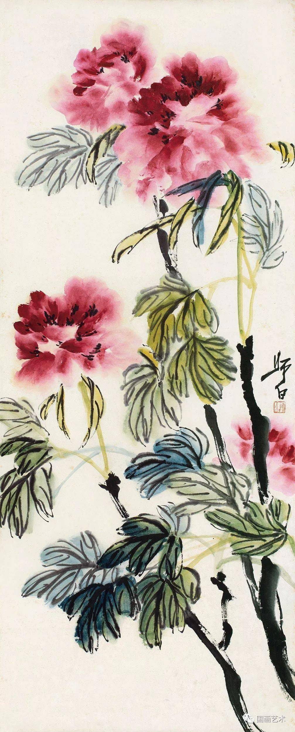 富贵多彩娄师白牡丹作品欣赏