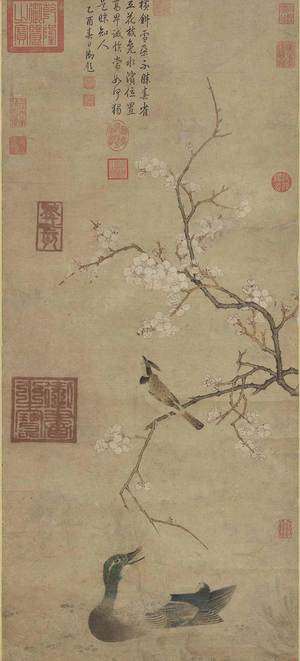 欣赏 | 春日花正浓,邀您画里赏“花”去_海棠