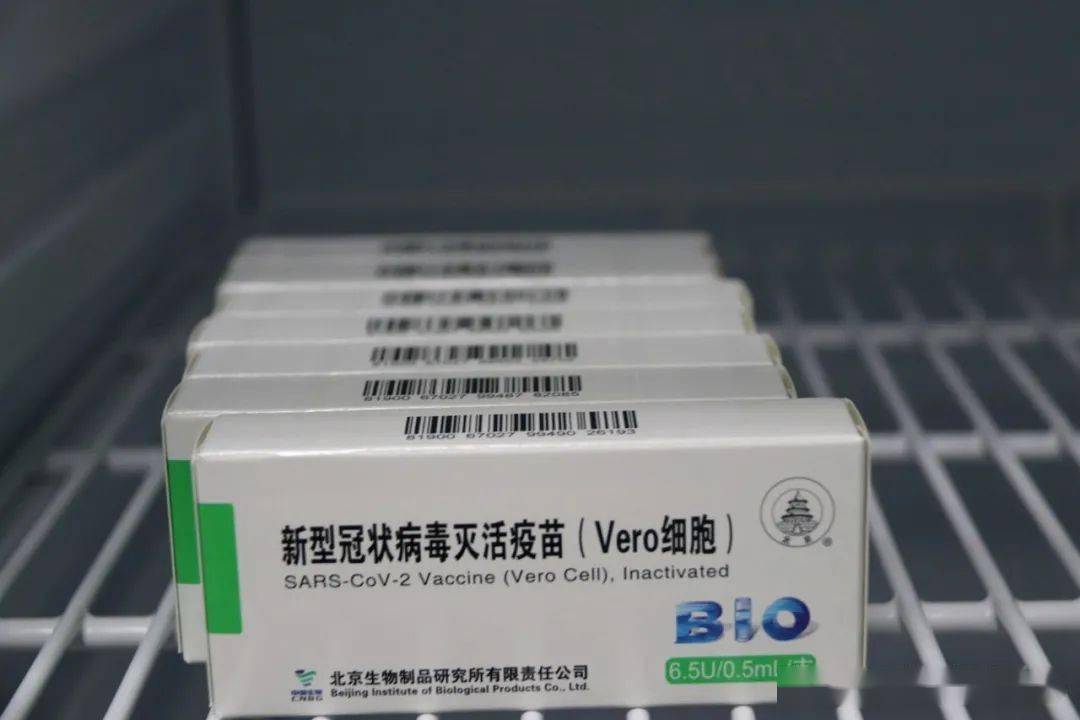 金塔县委副书记县长李炯芳等县领导带头接种新冠病毒疫苗