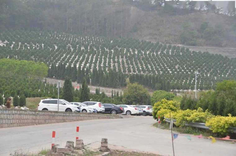 汕头这些地方扫墓人群密集,交警进行交通管制