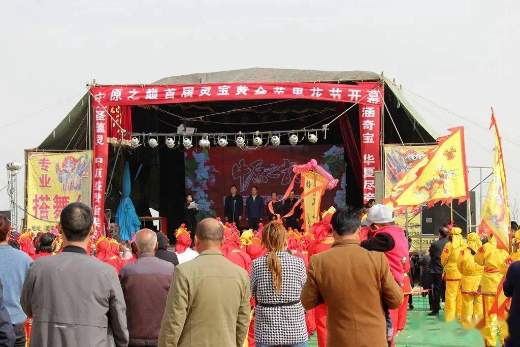 灵宝故县美丽鲜花在绽放