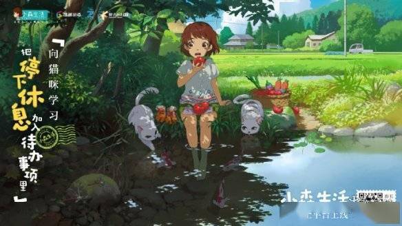 和风田园生活模拟经营手游 小森生活 现已上线 游戏