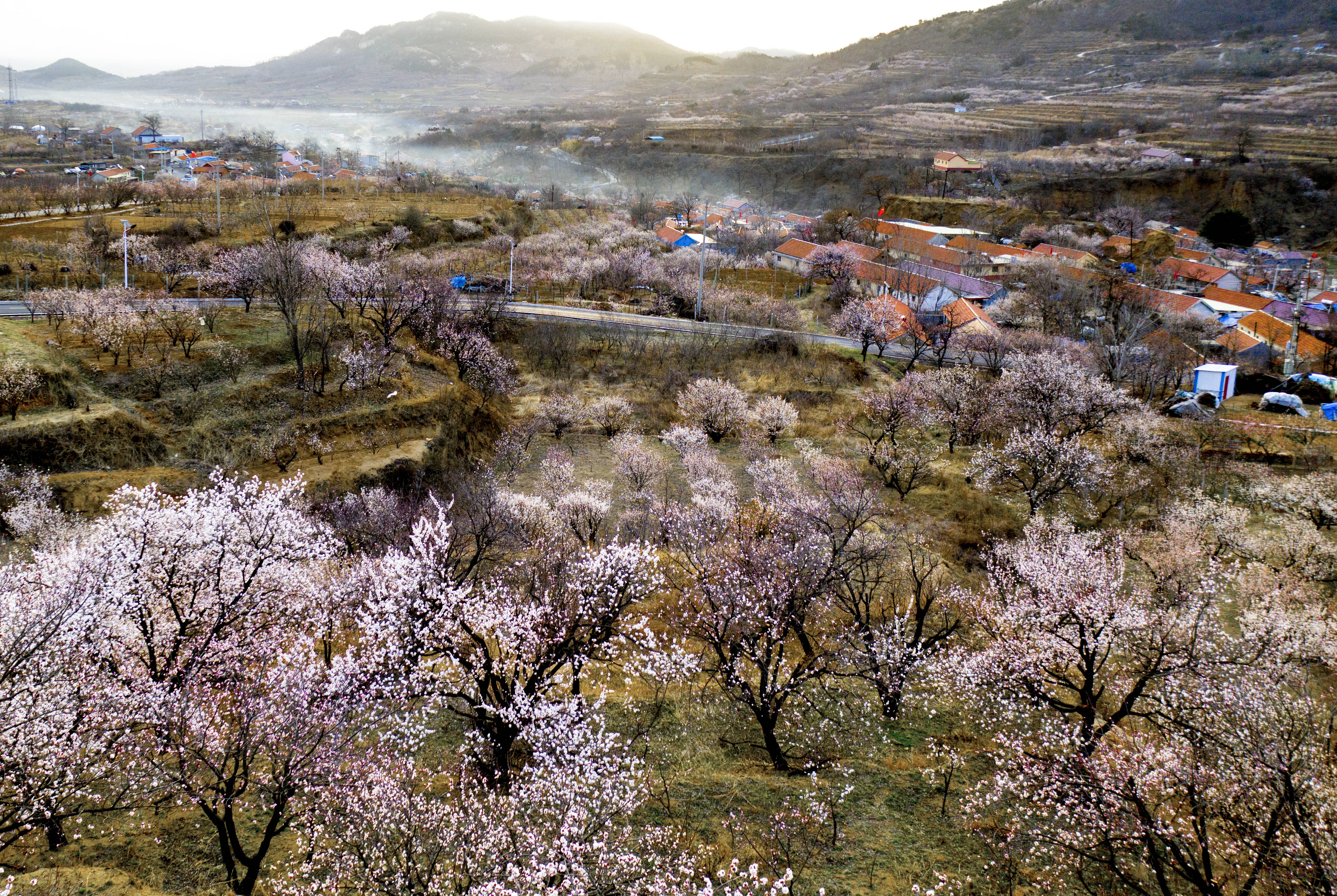 青岛西海岸新区打造杨家山里乡村旅游新名片