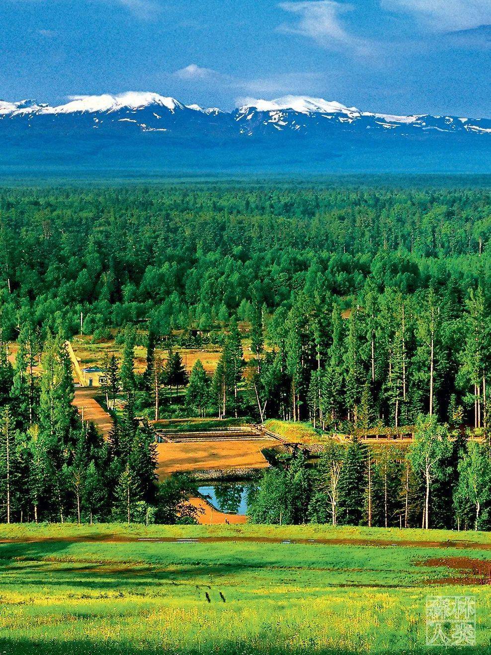 66个国家公园候选区,中国最珍贵的自然资产都在这里了!_我国