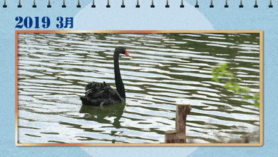 400_226gif 动态图 动图