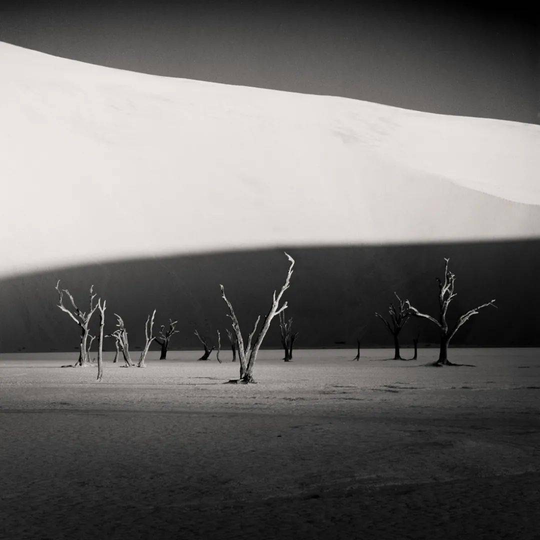 简而美黑白极简主义摄影奖公布结果