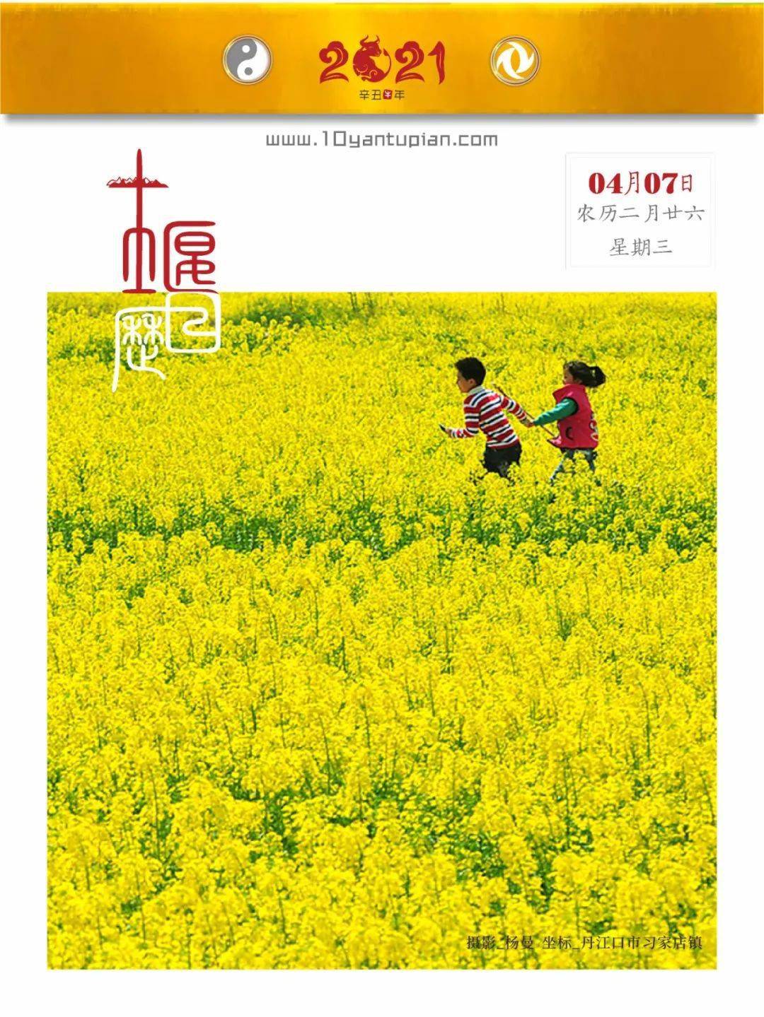 人生没有捷径可走没有捷径只有努力的名言 自媒体热点