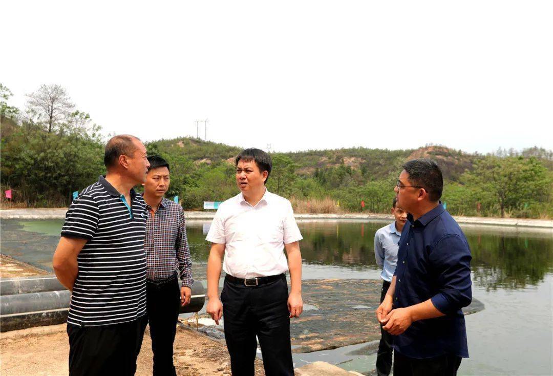 县委书记赖晓军调度突出环境问题整改工作