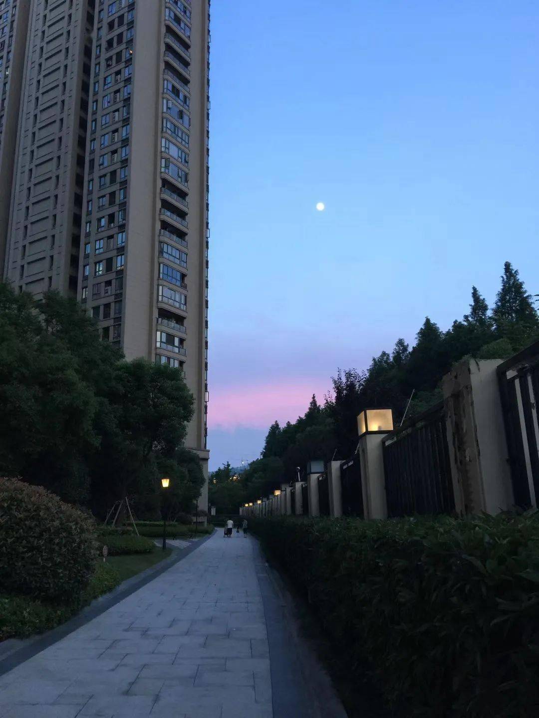 文章配图-8