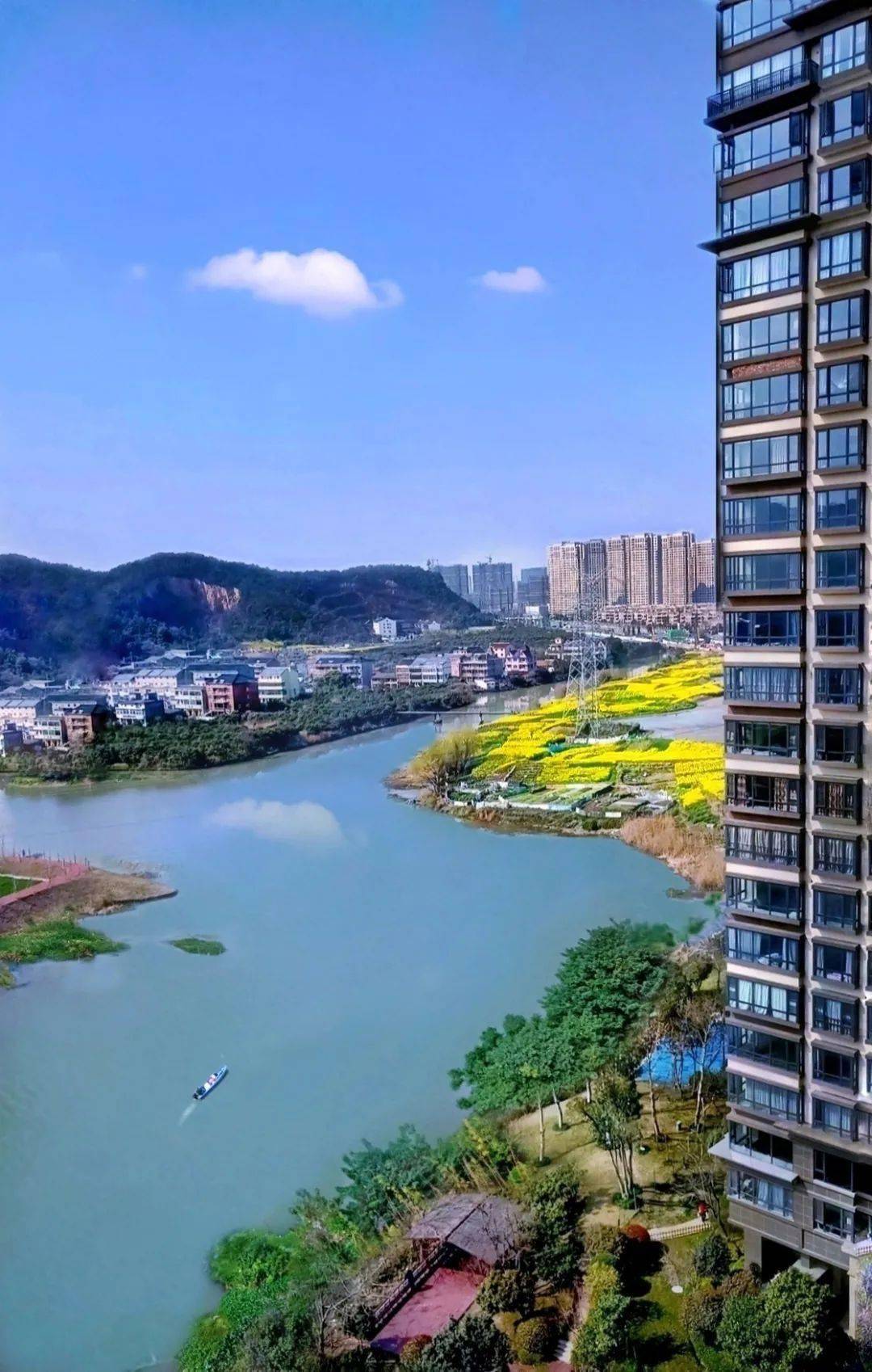 文章配图-137