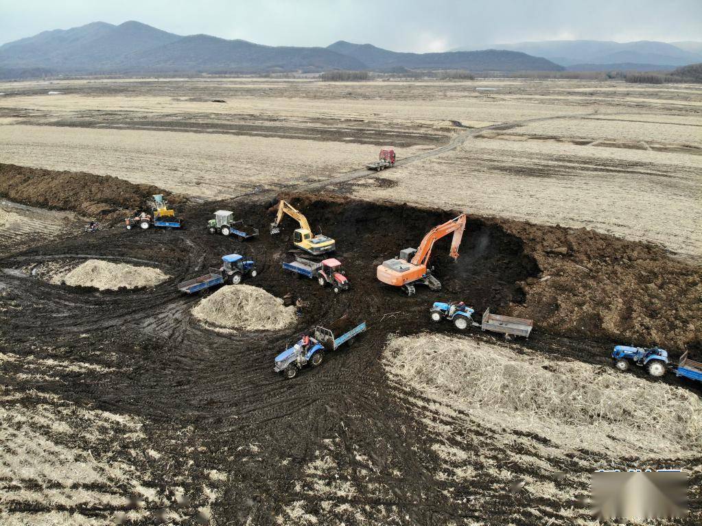 黑龙江五常破坏盗挖黑土地案件追踪_东北