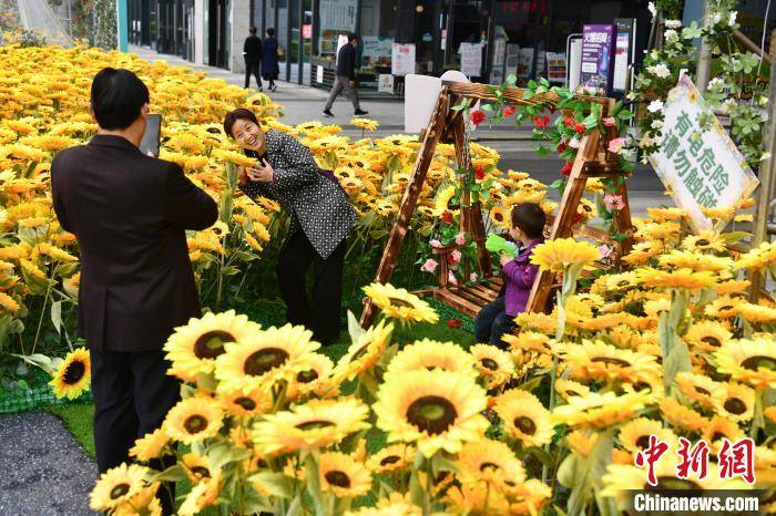 成都街头摆上万株向日葵装饰花打造“花海”景观