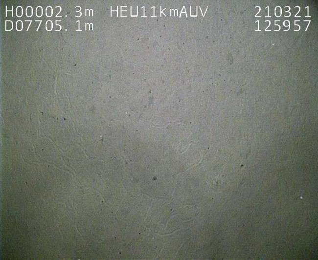 海深|7709米！“悟空”号刷新我国无人无缆潜水器AUV潜深新纪录