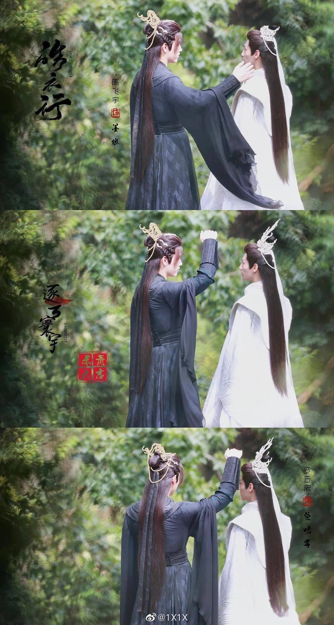 皓衣行你可真是太努力了