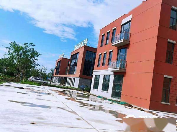 青岛新东方国际双语学校进入装饰装修阶段今年秋季将建成招生