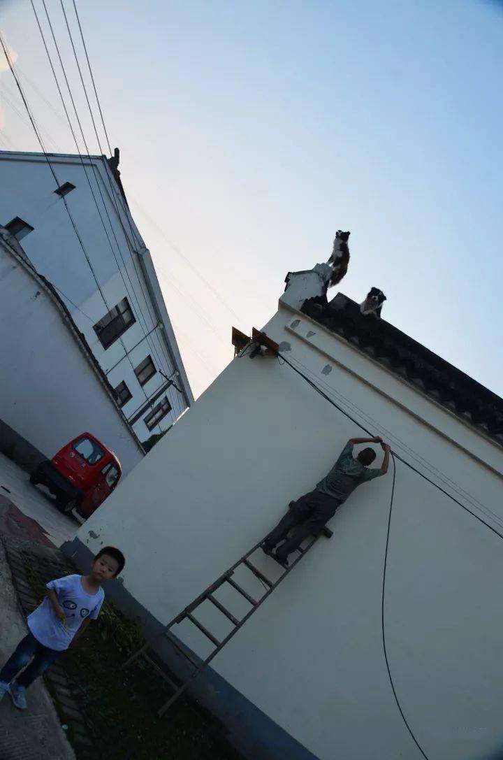 博士坞村 狗狗趴在墙头看我们