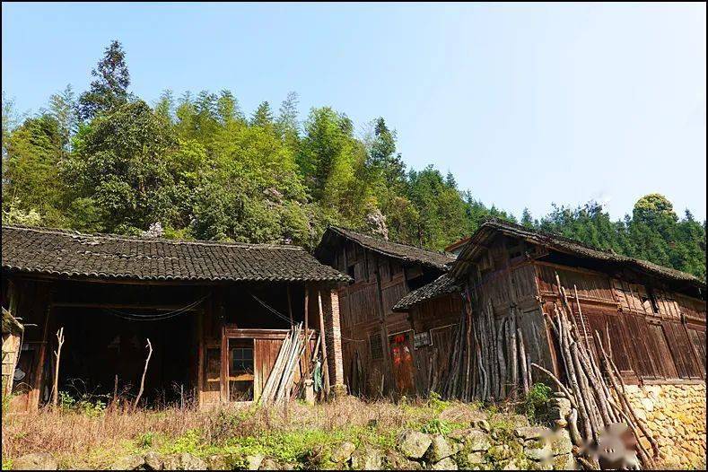 探訪春天---灌陽大花山村_村宅