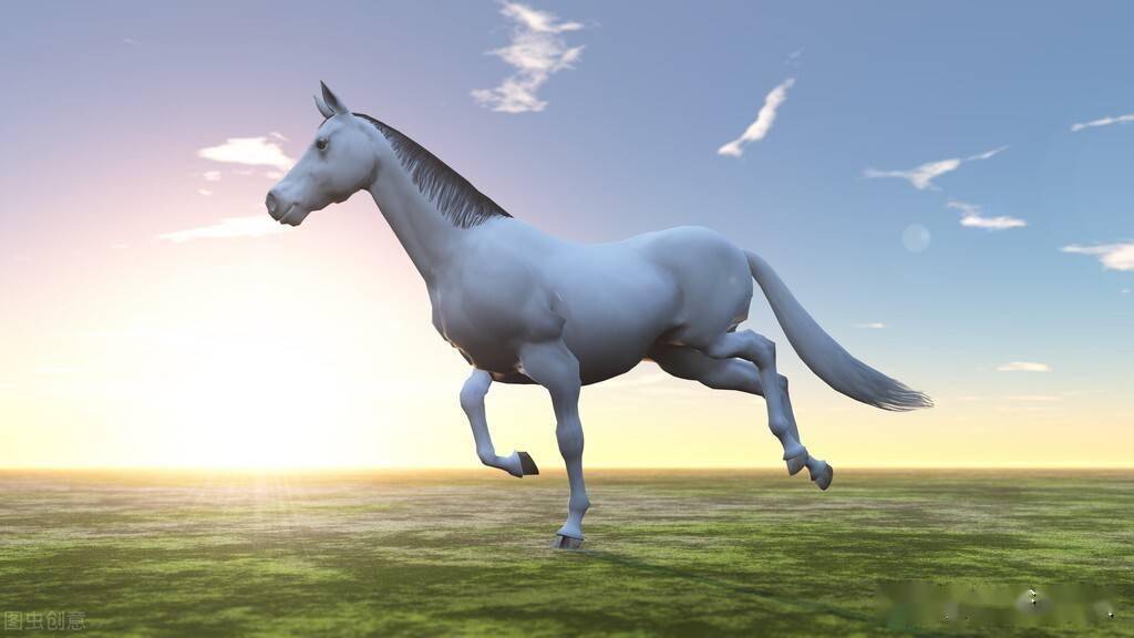 阳光下飞驰,奔雷般的千军万马在深夜梳理皮毛银亮的月光抖擞文明的