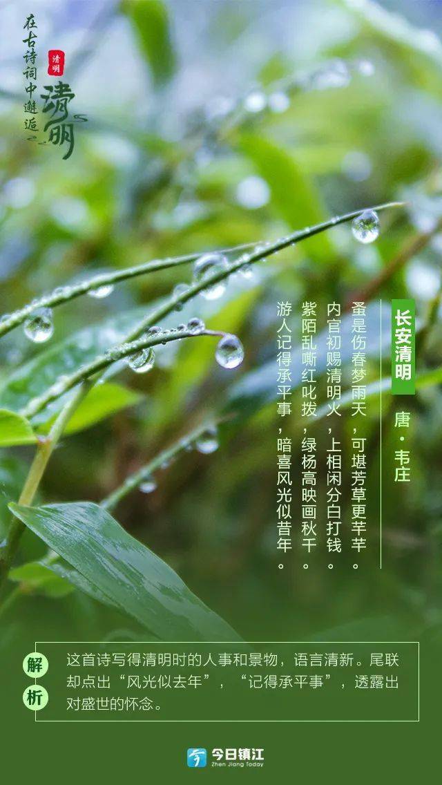 在诗词中穿越古代感受清明,邂逅清明你还知道哪些有关于清明的诗句吗?