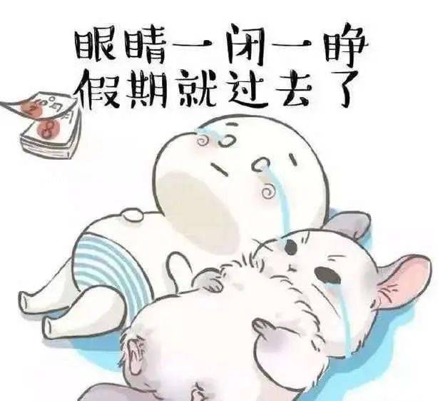 6d217fc8914e4233ba20c8ff0d83a82e.jpeg