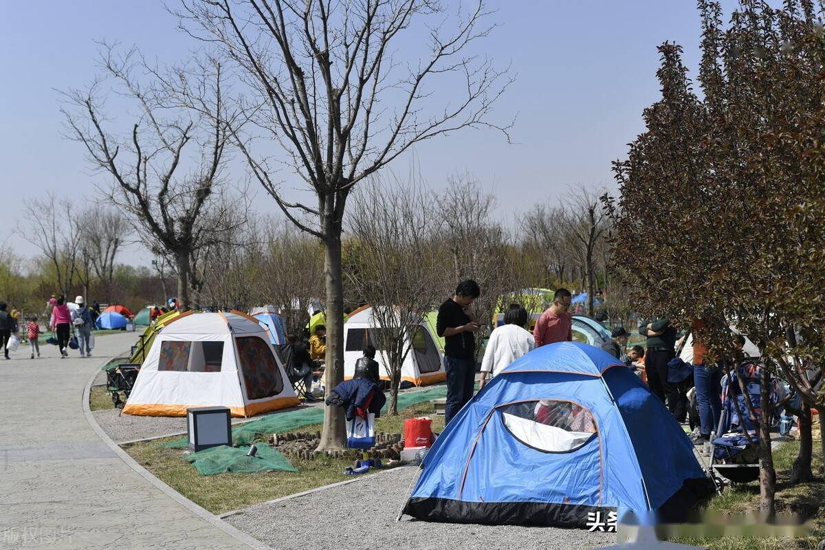 天津南堤公园房车营地市民来露营享受春日暖阳