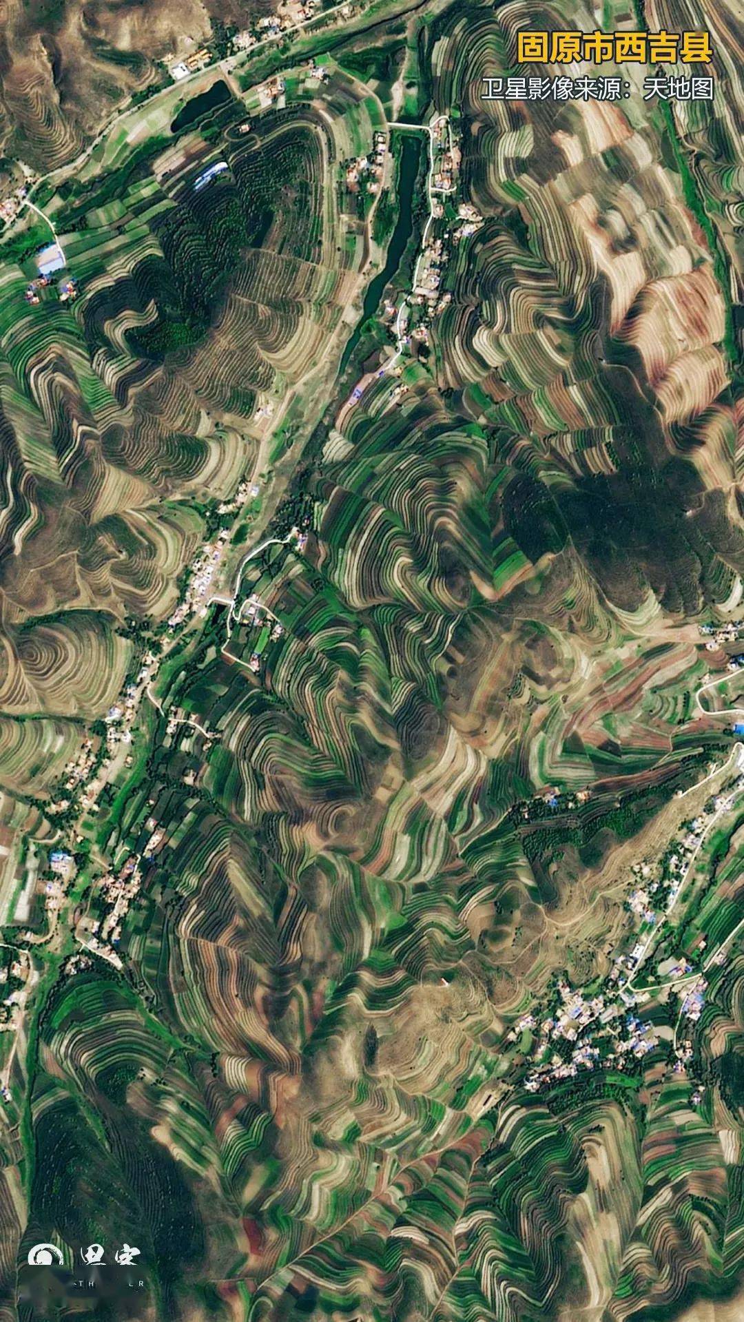 卫星 ai见证,"当惊世界殊"的绿色奇迹