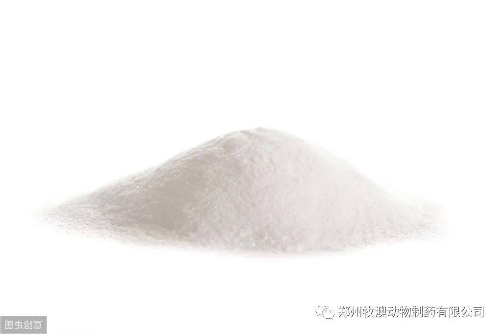 维生素c在养鸡上的妙用原来这么多功效