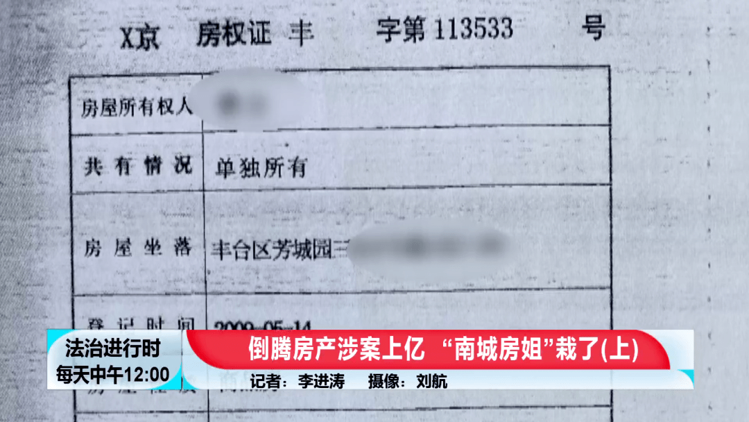 北京大案纪实诈骗110000000元的南城房姐覆灭记